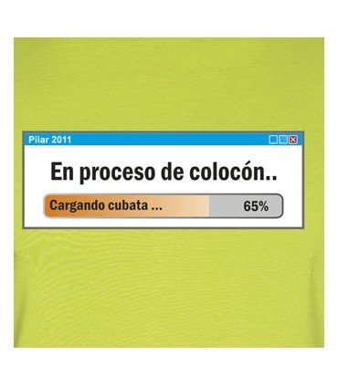 Camiseta personalizada