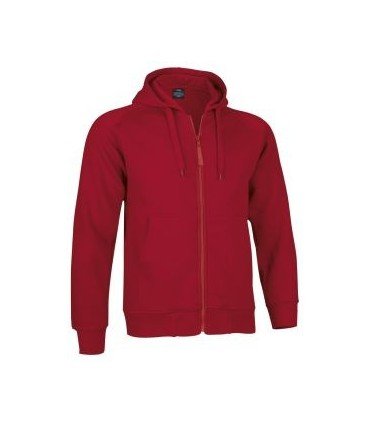 Sudadera con cremallera y capucha